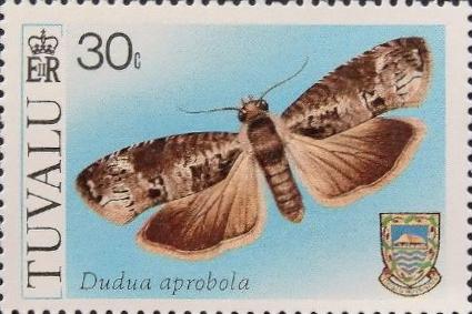 Dudua aprobola