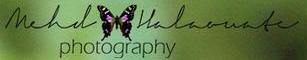Mehd Halaouate Photography