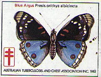 Junonia orithya