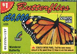 Danaus plexippus