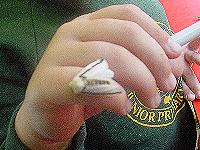 Oenosandra boisduvalii